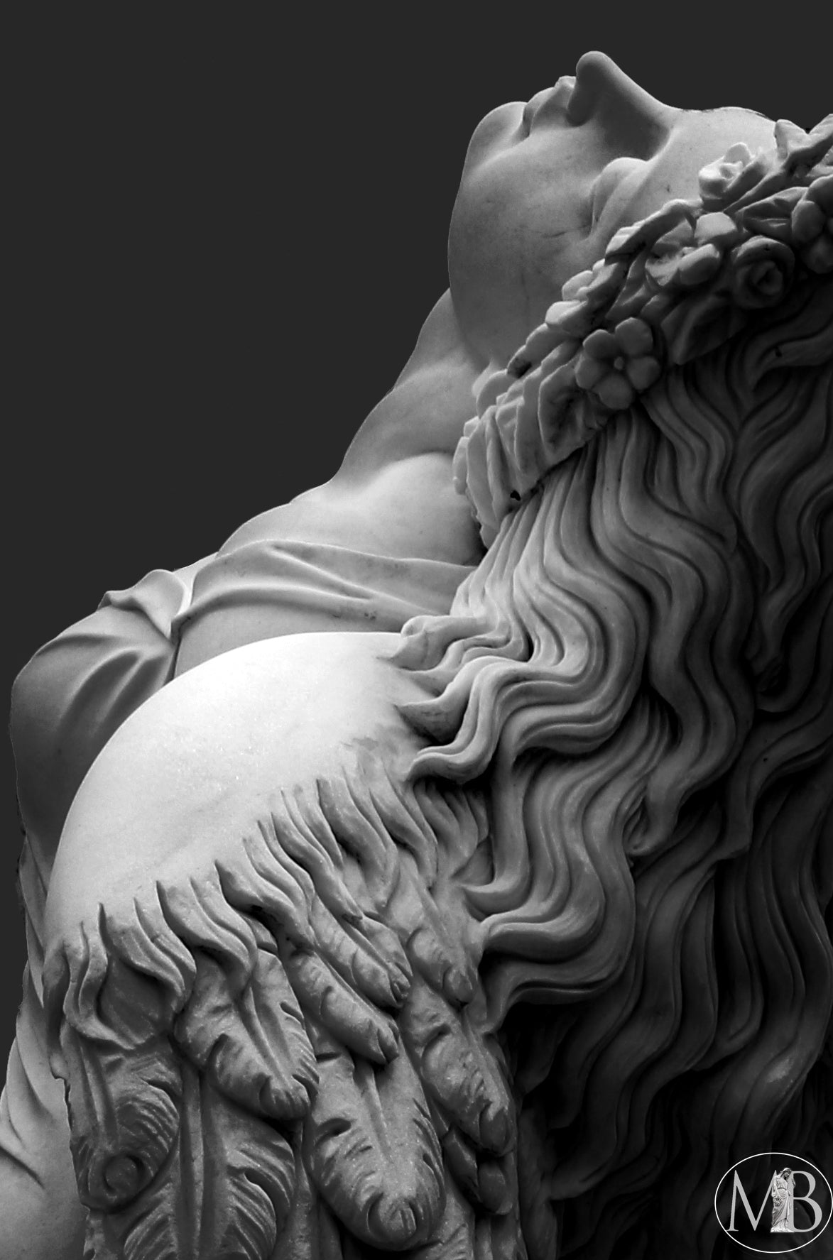 Fine Art & Photography