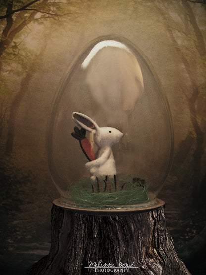 Cottontail - Color Photographic Print