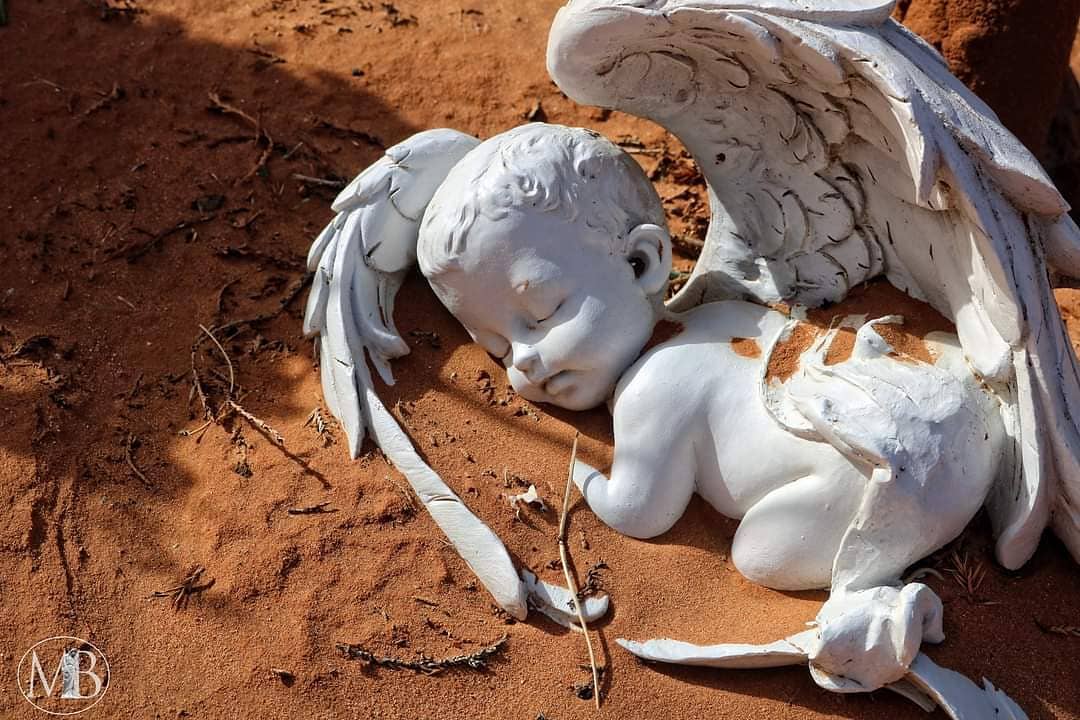 Sleeping Soundly - Color Photographic Print