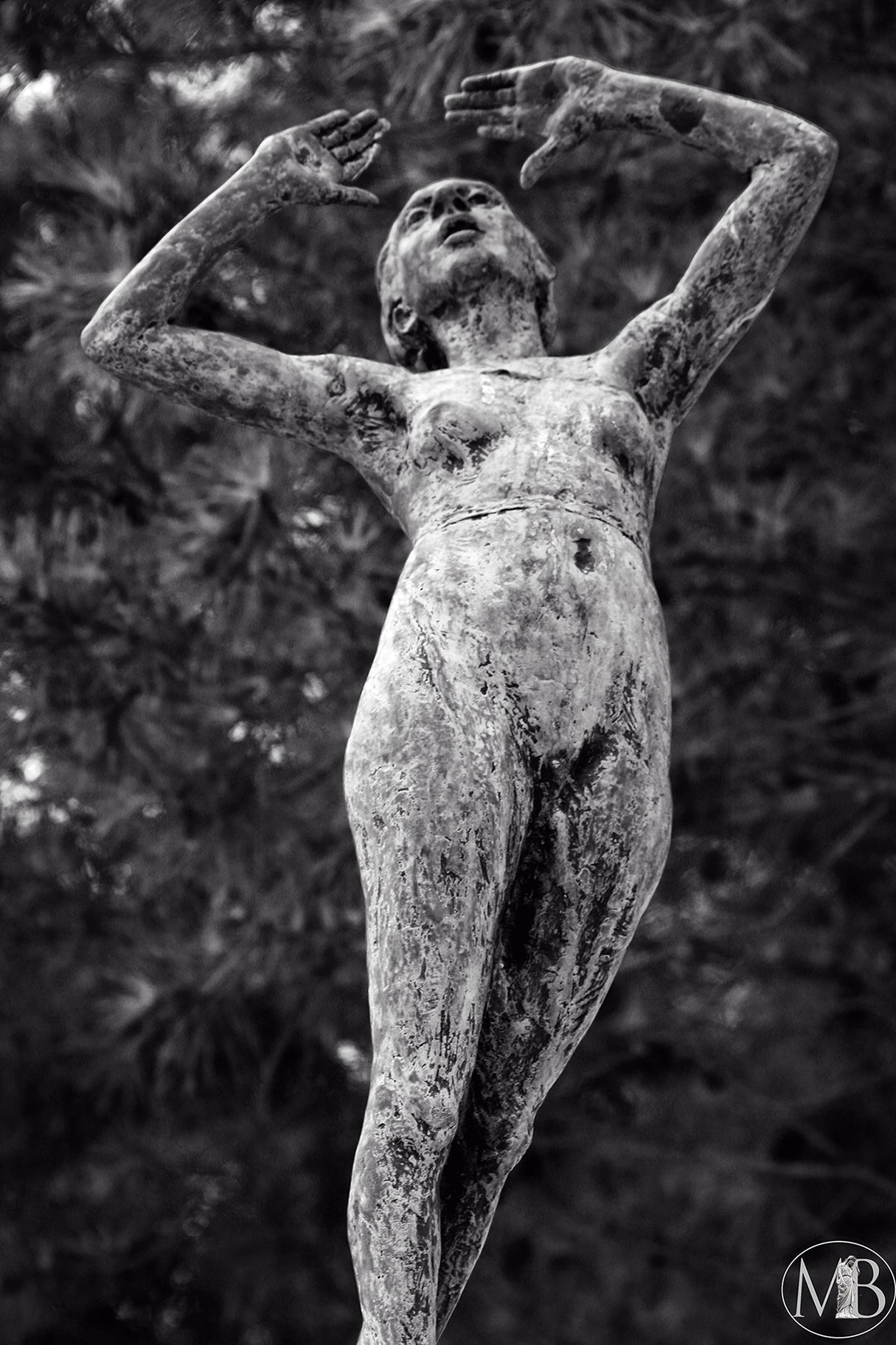 The Metairie Collection - Grace & Beauty I