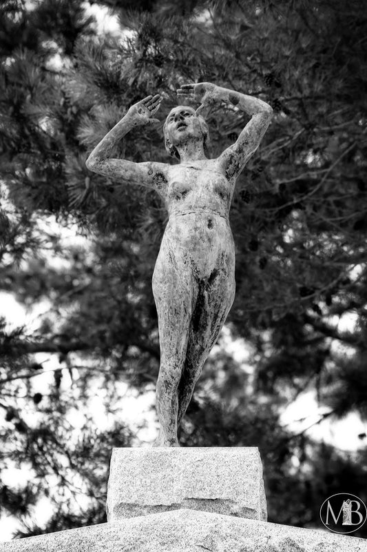 The Metairie Collection - Grace & Beauty II