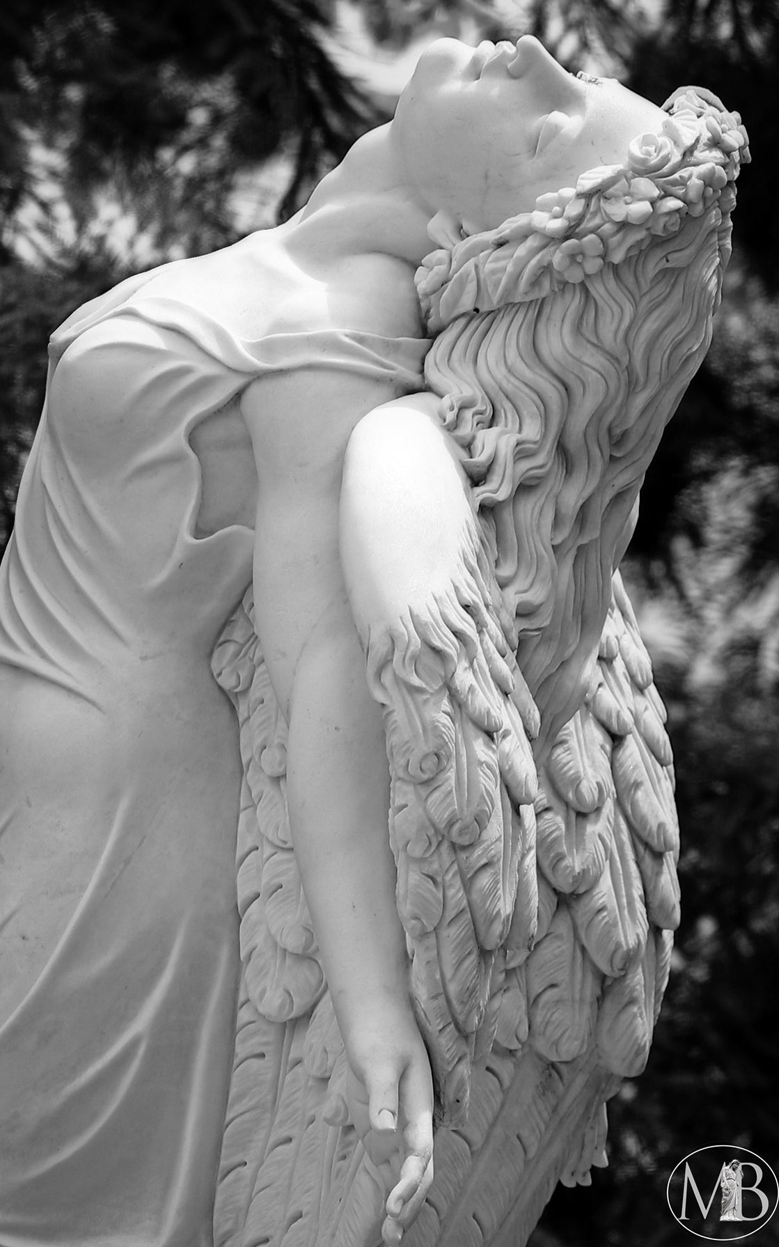 The Metairie Collection - Transcendence I