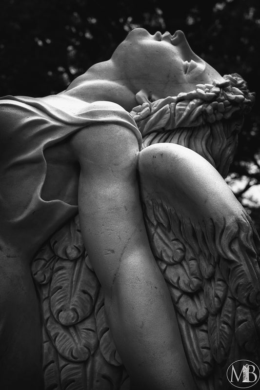 The Metairie Collection - Transcendence II