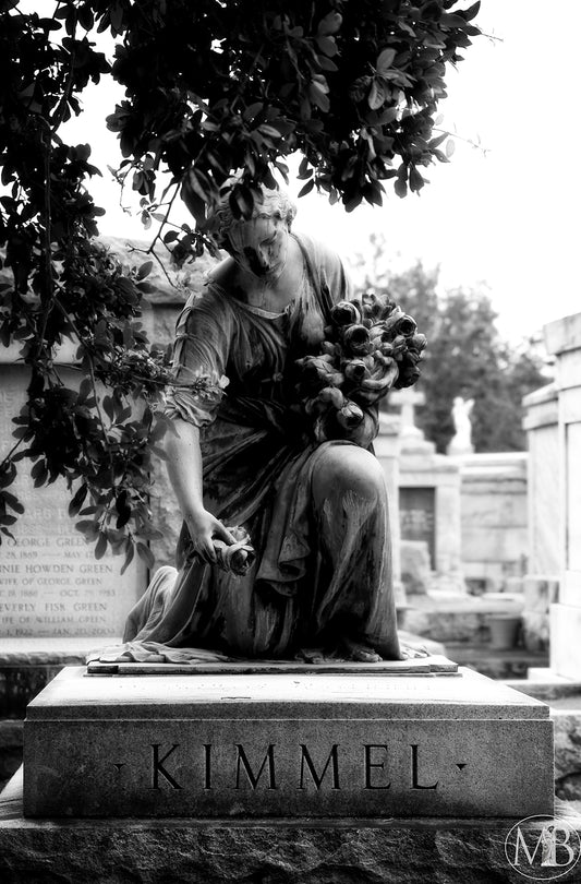 The Metairie Collection - Kimmel I