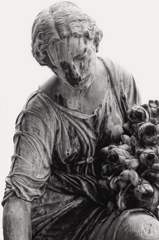 The Metairie Collection - Kimmel II