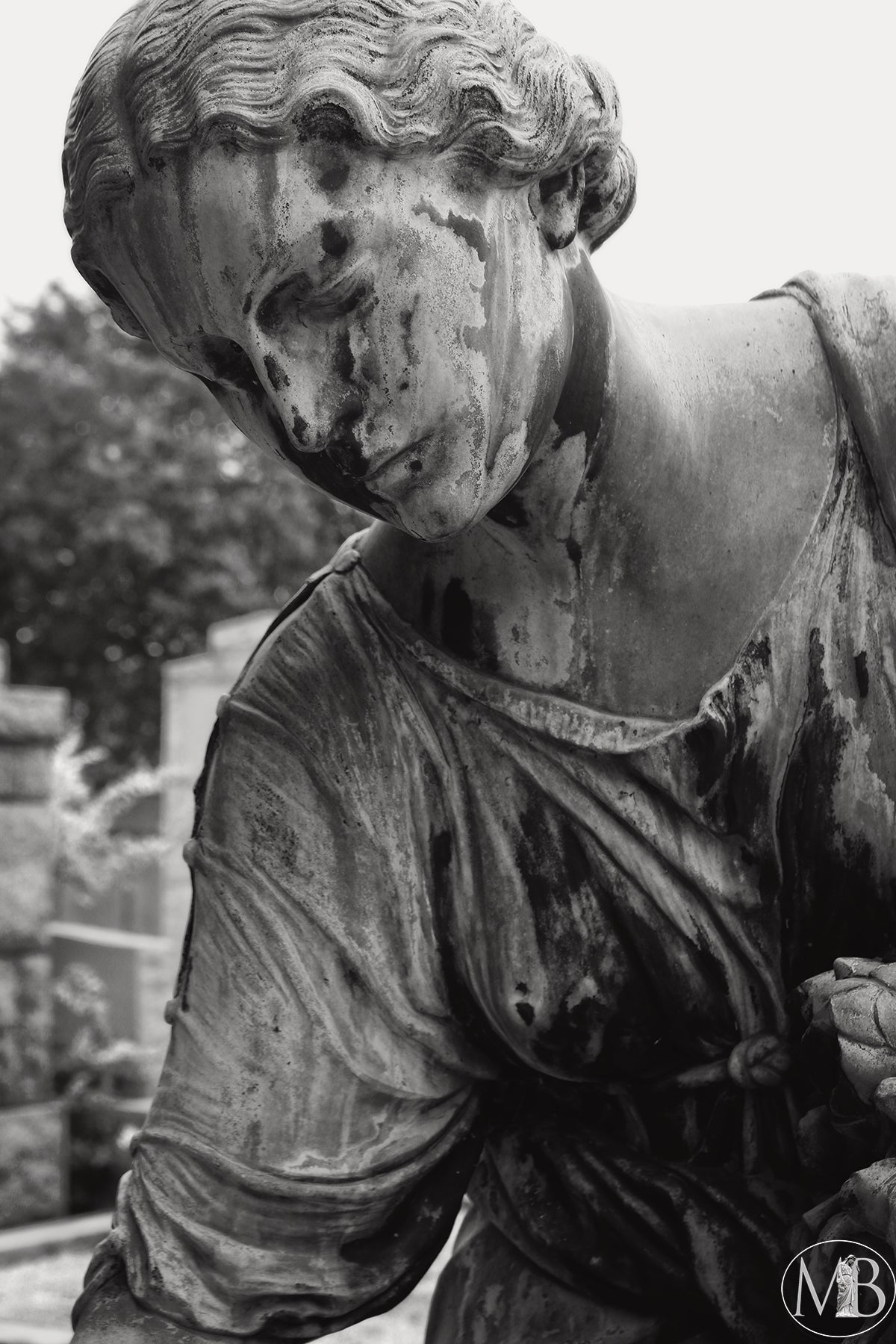 The Metairie Collection - Kimmel IV