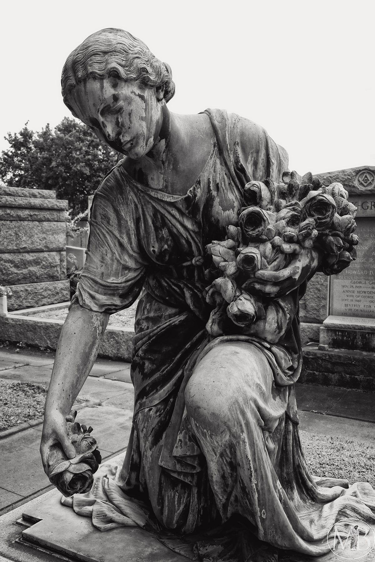 The Metairie Collection - Kimmel V