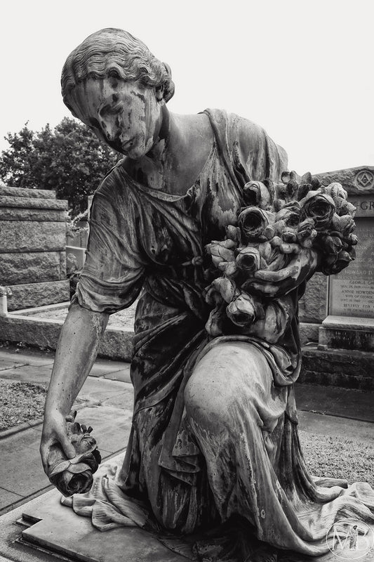 The Metairie Collection - Kimmel V