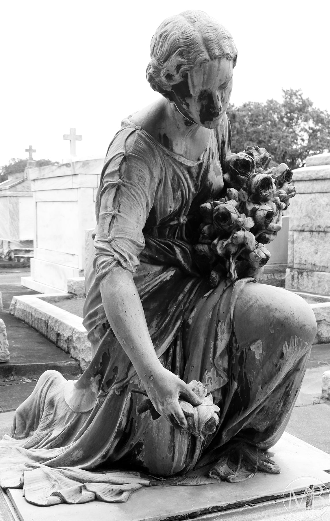 The Metairie Collection - Kimmel VI