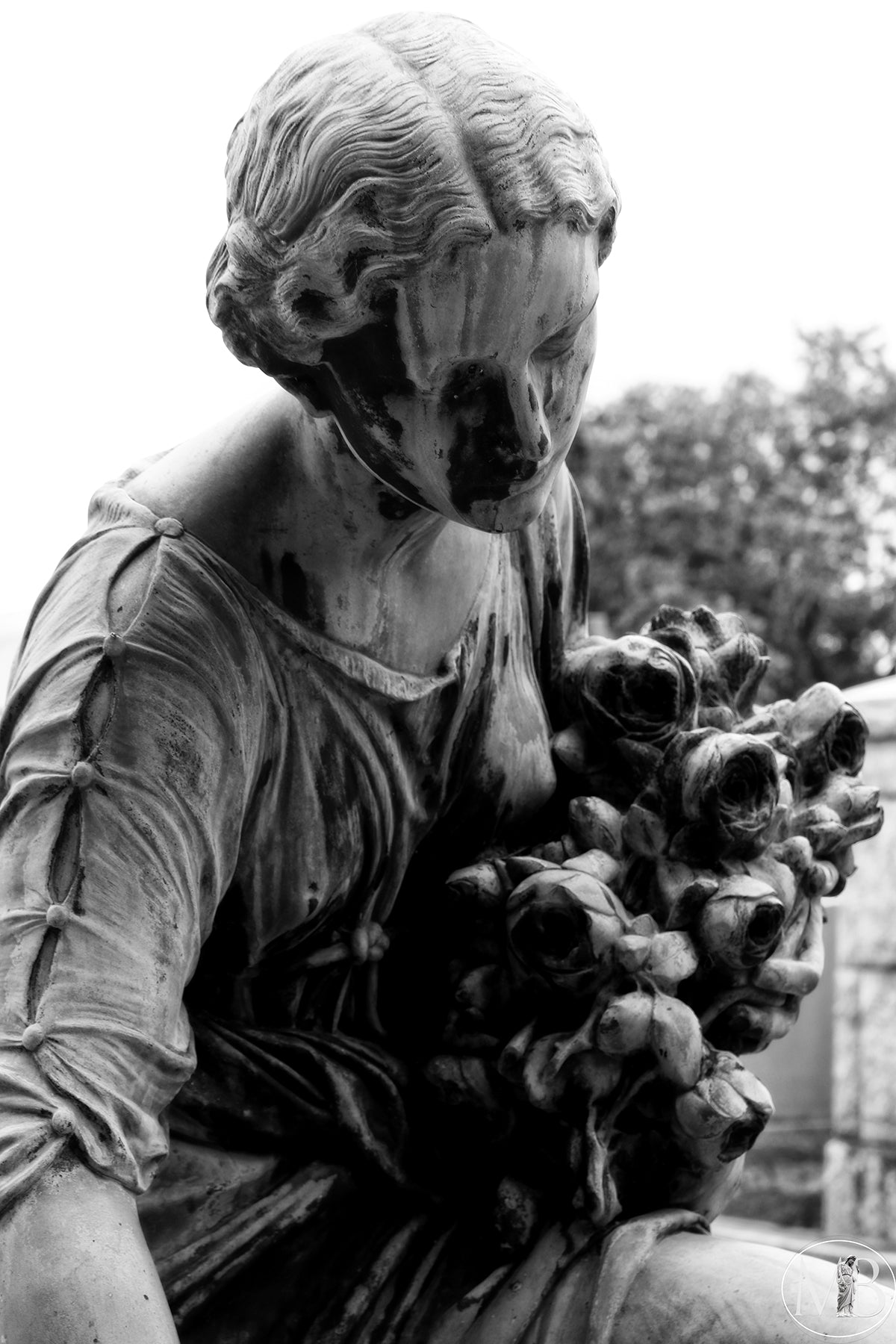 The Metairie Collection - Kimmel VII