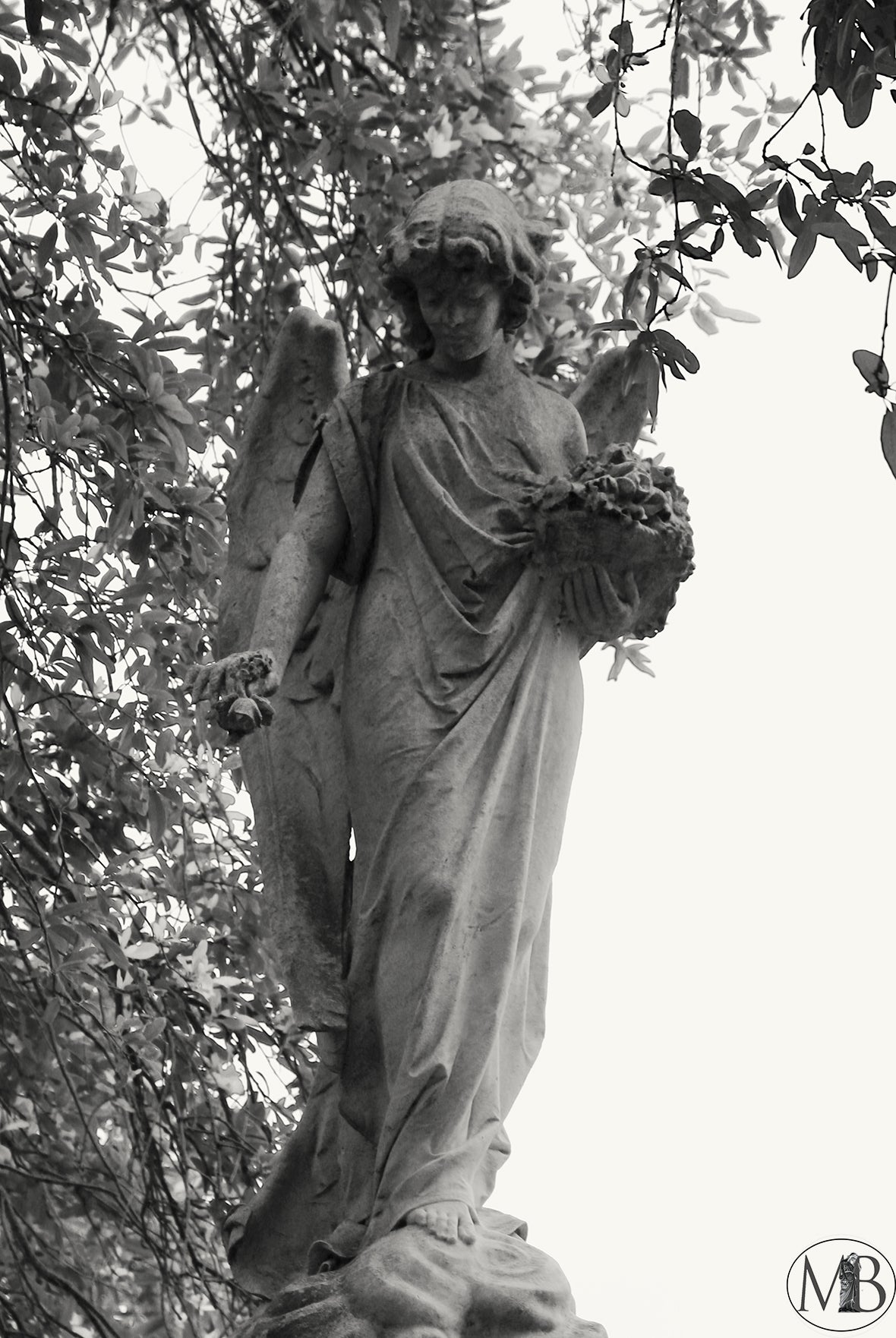 The Metairie Collection - Angels VI