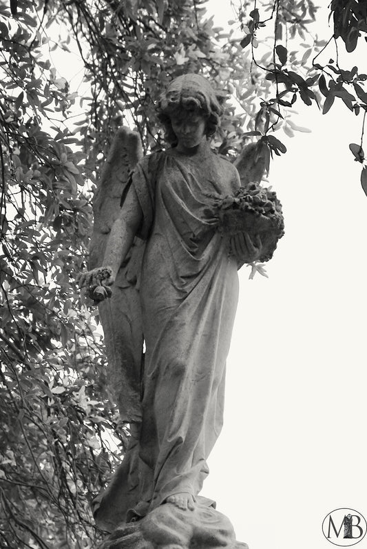 The Metairie Collection - Angels VI