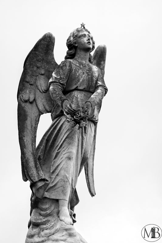 The Metairie Collection - Taylor III