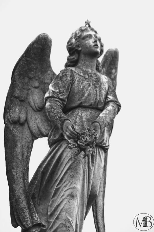 The Metairie Collection - Taylor IV