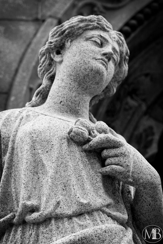 The Metairie Collection - McCan