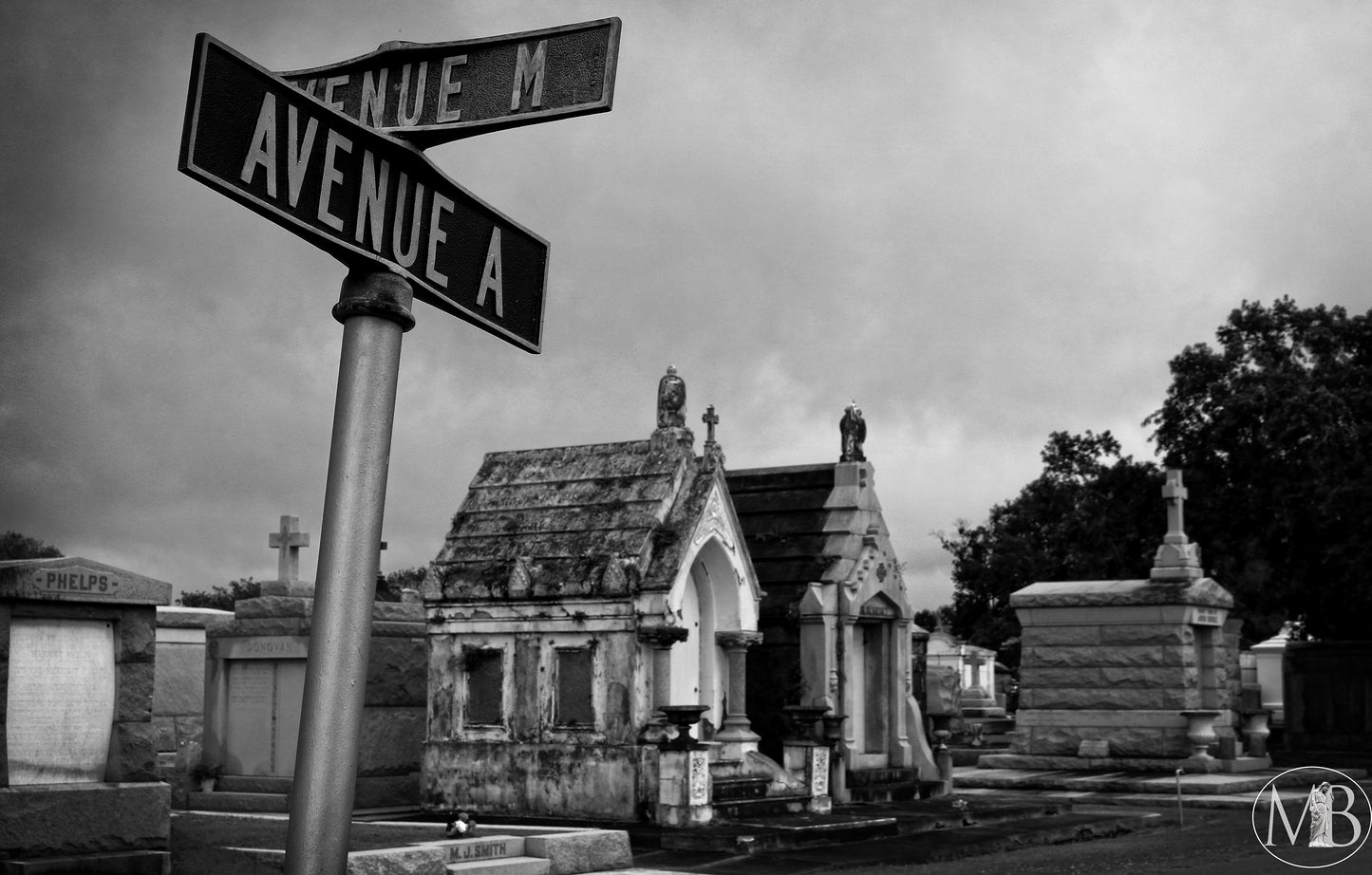 The Metairie Collection - Crossroads