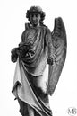 The Metairie Collection - Angels VIII