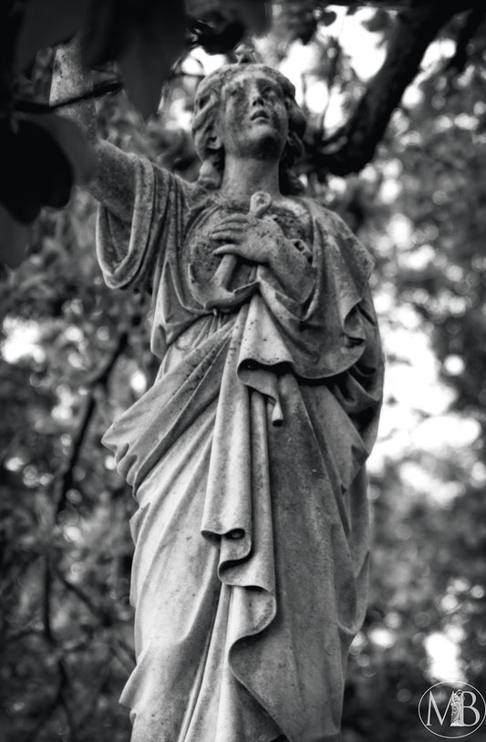 The Metairie Collection - Devotion