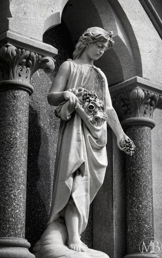 The Metairie Collection - Peace & Purity III